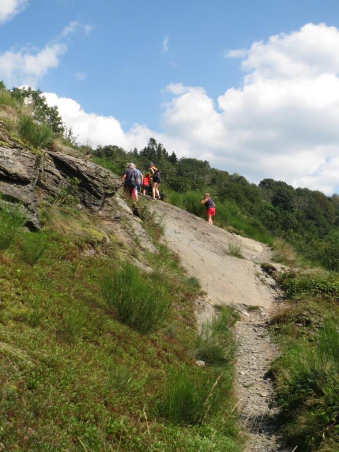 Chez Petit Gust Welkom In La Roche En Ardenne Экстерьер фото