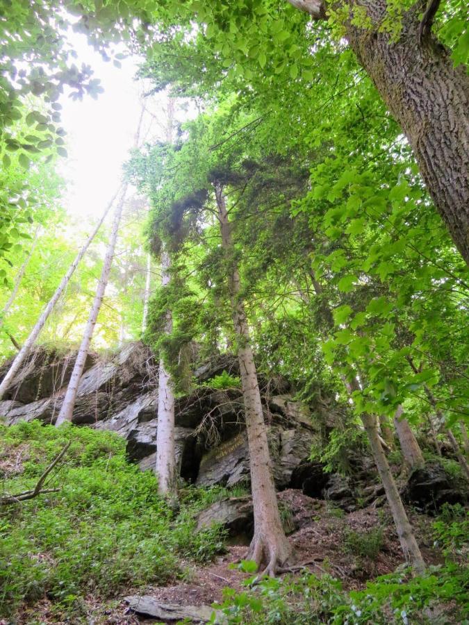 Chez Petit Gust Welkom In La Roche En Ardenne Экстерьер фото